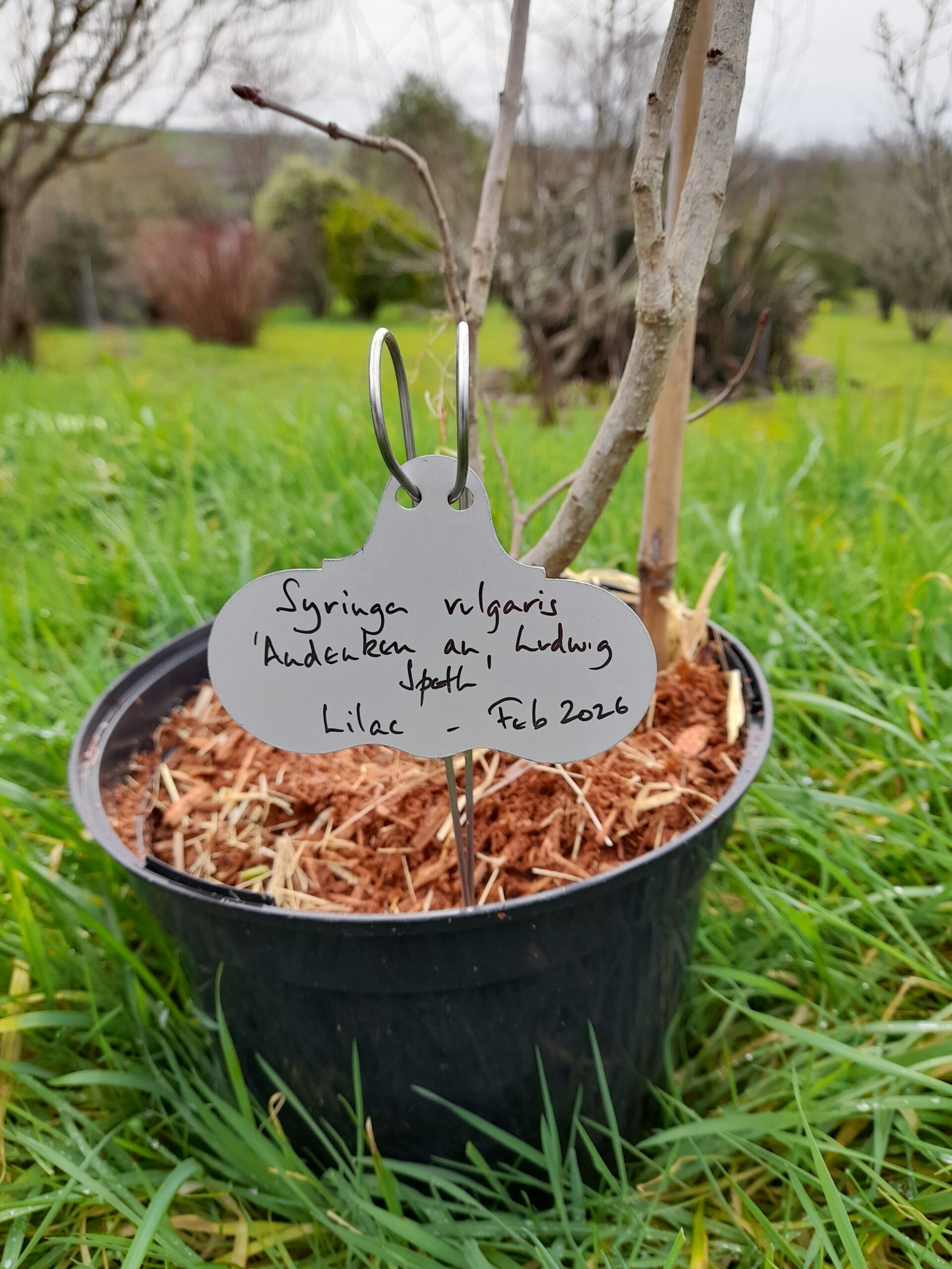 Label Leg - Wartnaby Gardens Range - Image 3