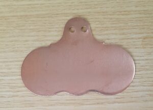 Hang On Copper Wide Face Plant Labels