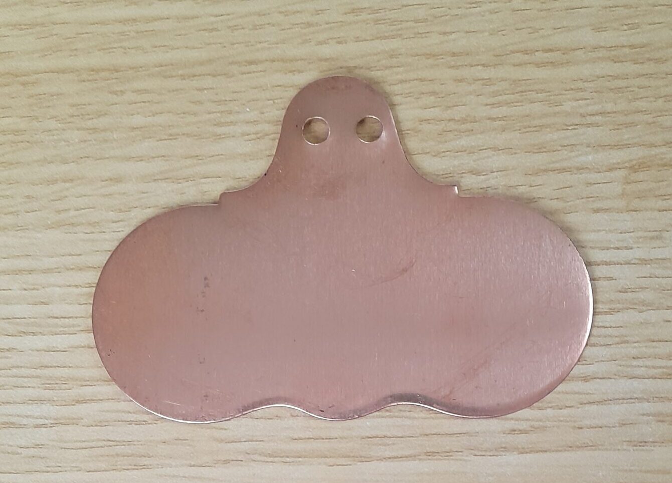 Hang On Copper Wide Face Plant Labels