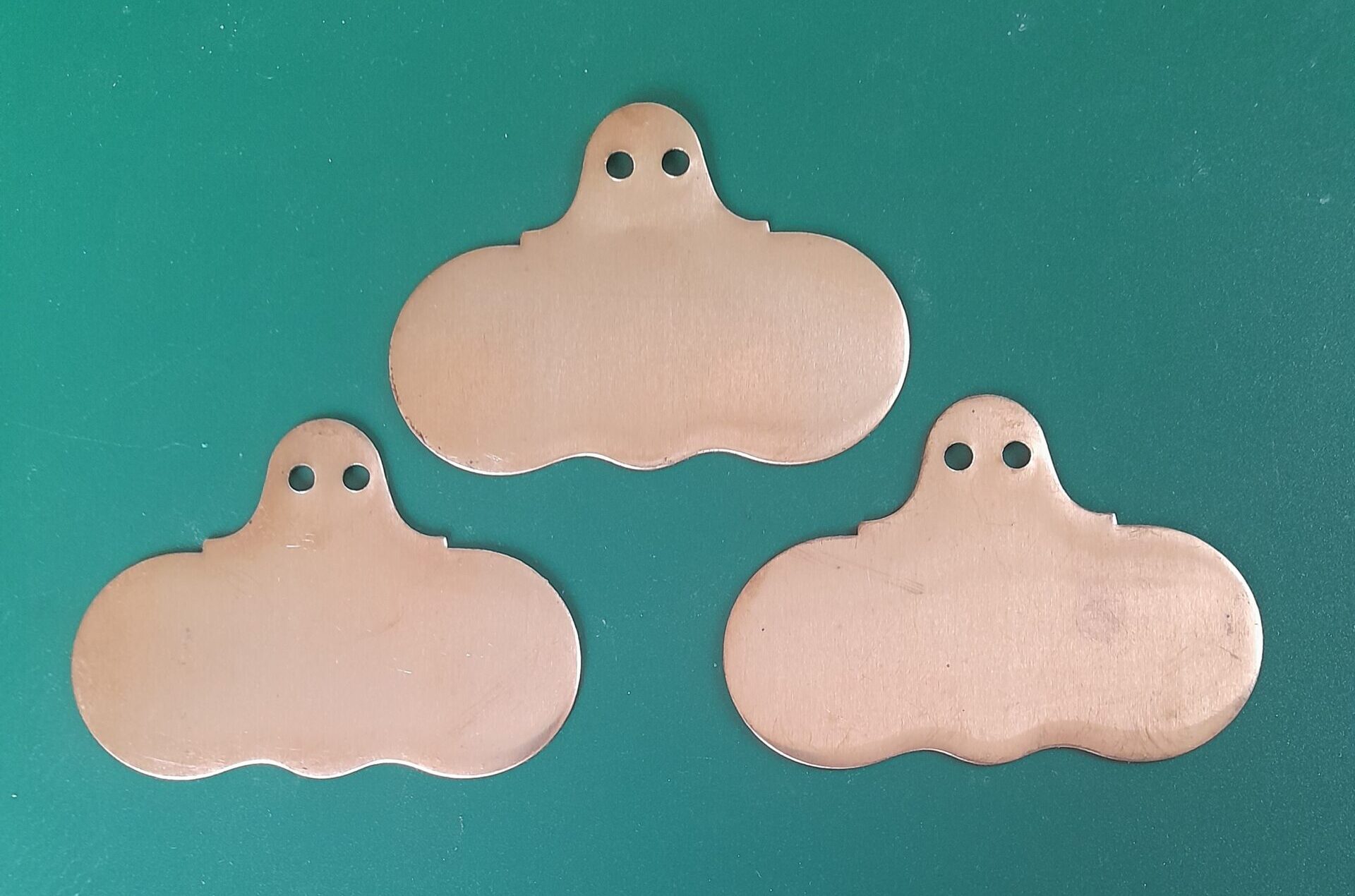 Hang On Copper Wide Face Plant Labels - Image 2