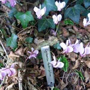 Aluminium Plant Labels