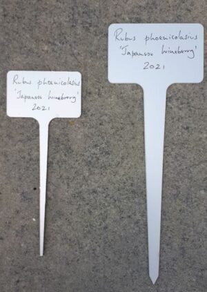 T Shaped Push In Aluminium Plant Label - Large