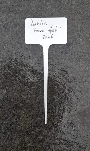 T Shaped Push In Aluminium Plant Label - Medium