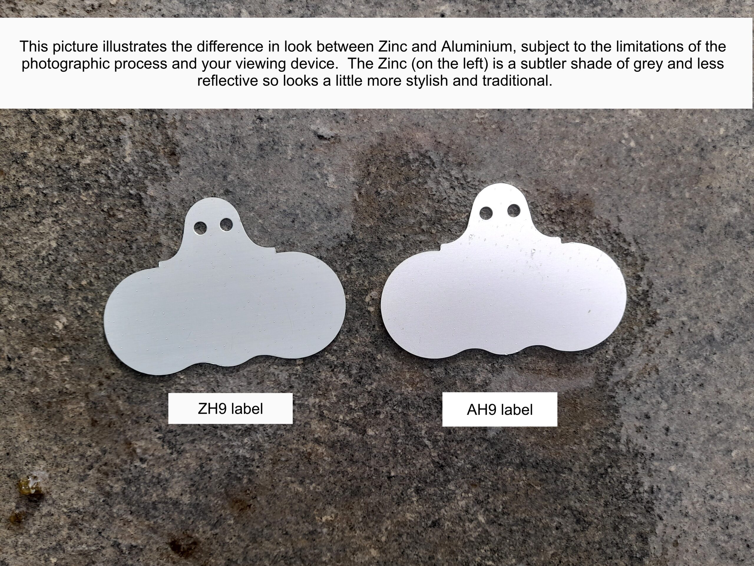Hang On Zinc Wide Face Plant Labels - Wartnaby Gardens Range - Image 8