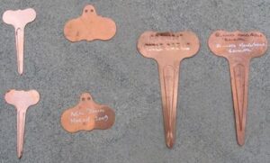 Copper Plant Labels