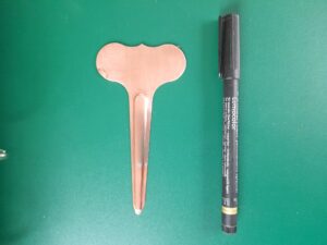 Push In Copper Wide Face Small