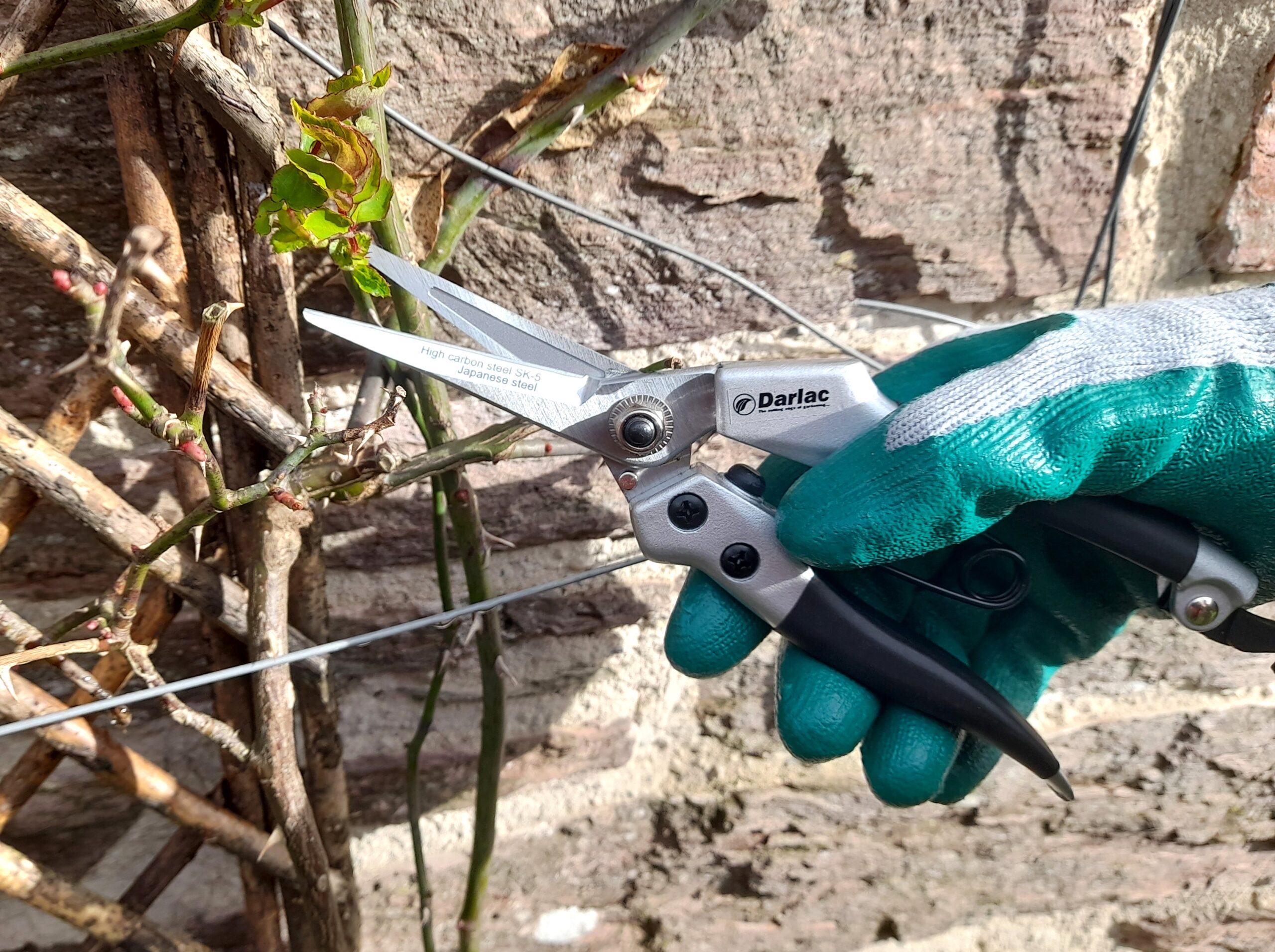 Compact Snips by Darlac