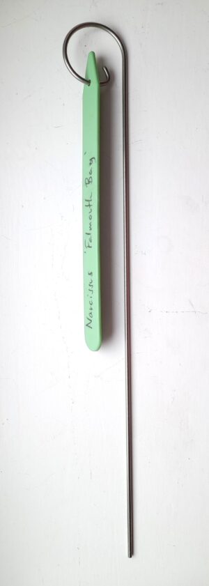 Single Leg - English for Slate or Plastic Plant Labels