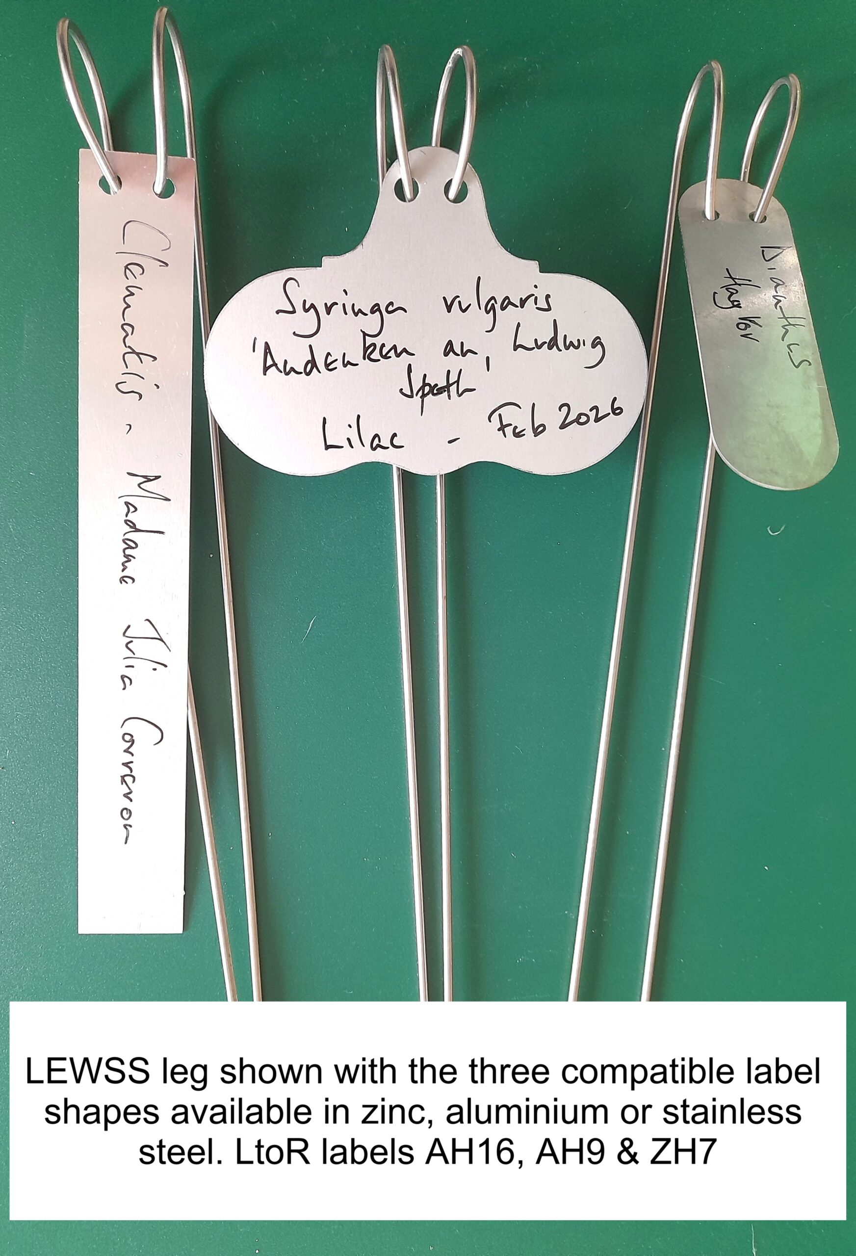 Label Leg - Wartnaby Gardens Range - Image 6