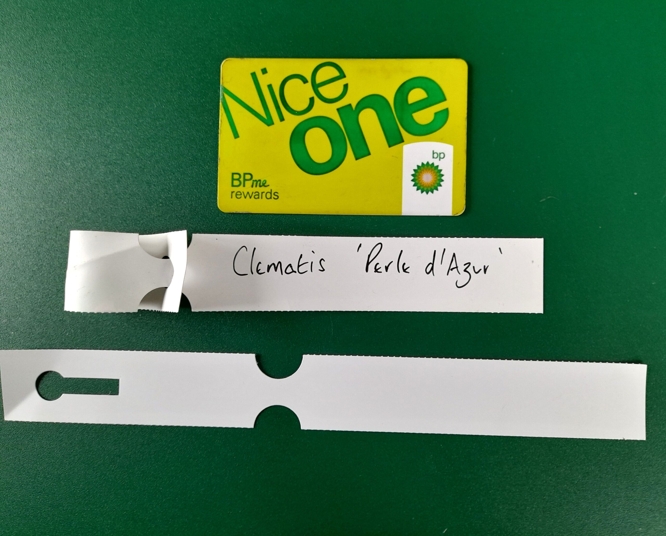 Loop Lock Plastic Plant Label - Image 2