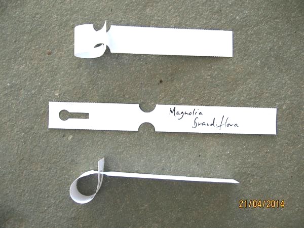 Loop Lock Plastic Plant Label - Image 3