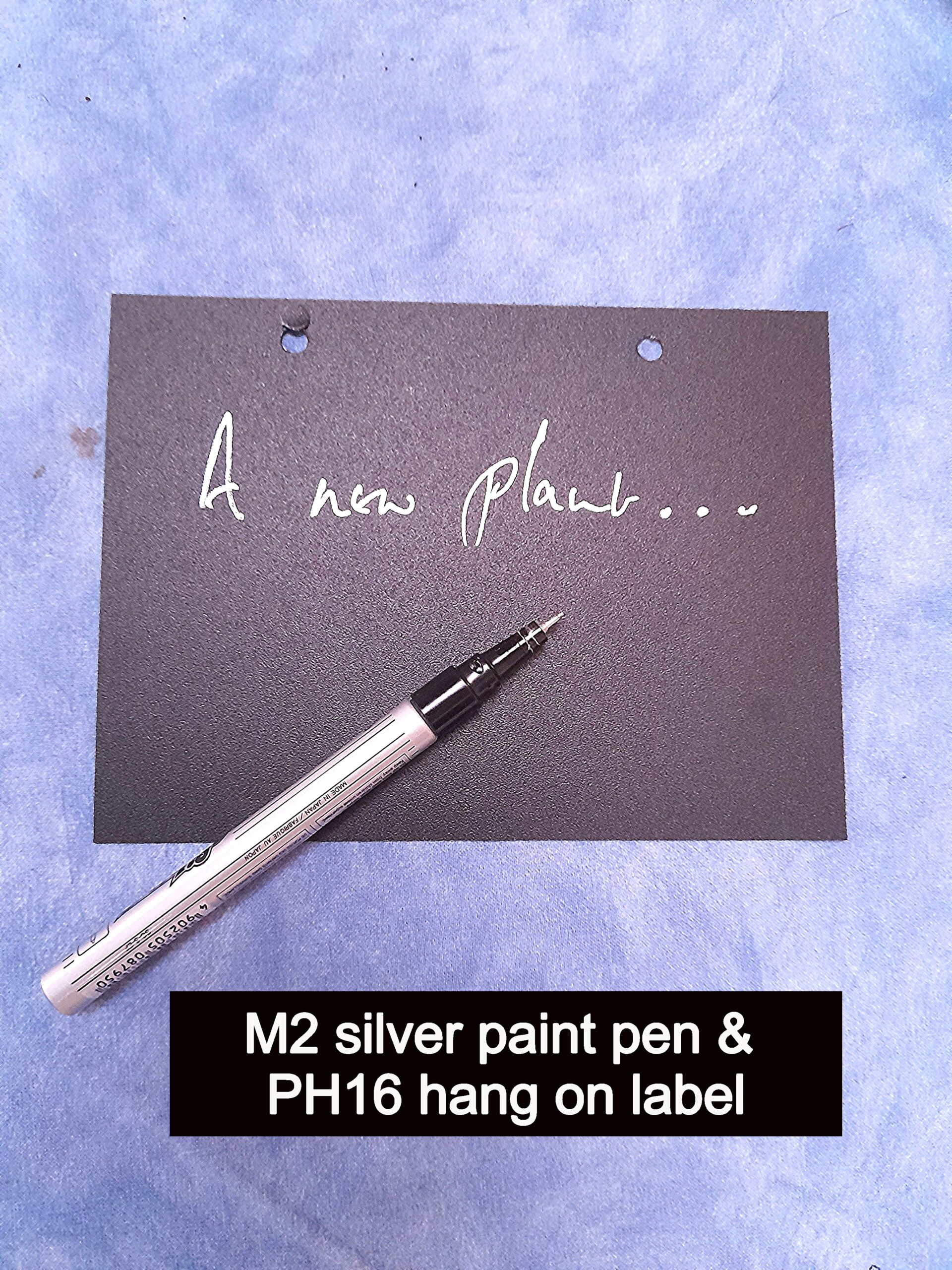 Pilot Silver Paint Pen - Image 2