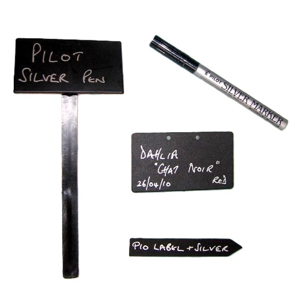 Pilot Silver Paint Pen - Image 3
