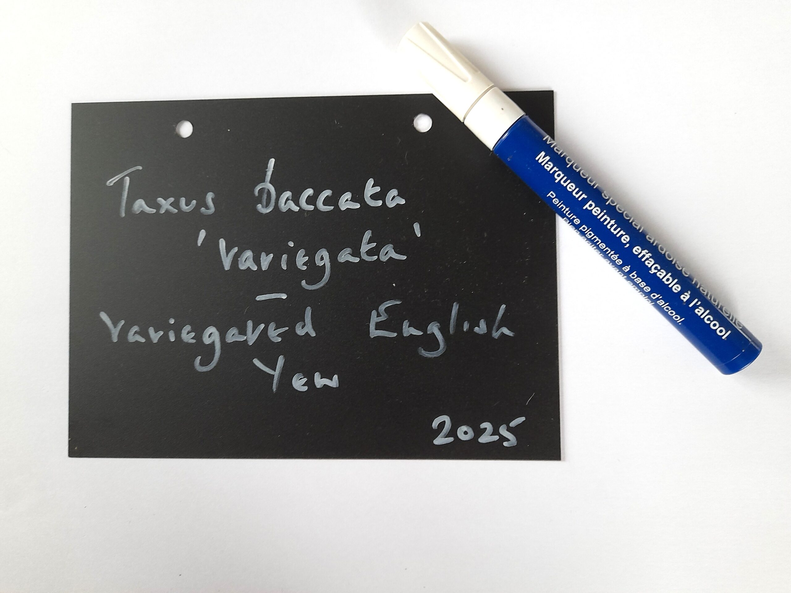 White Paint Fibre Tip Pen for Plant Labels - Image 5