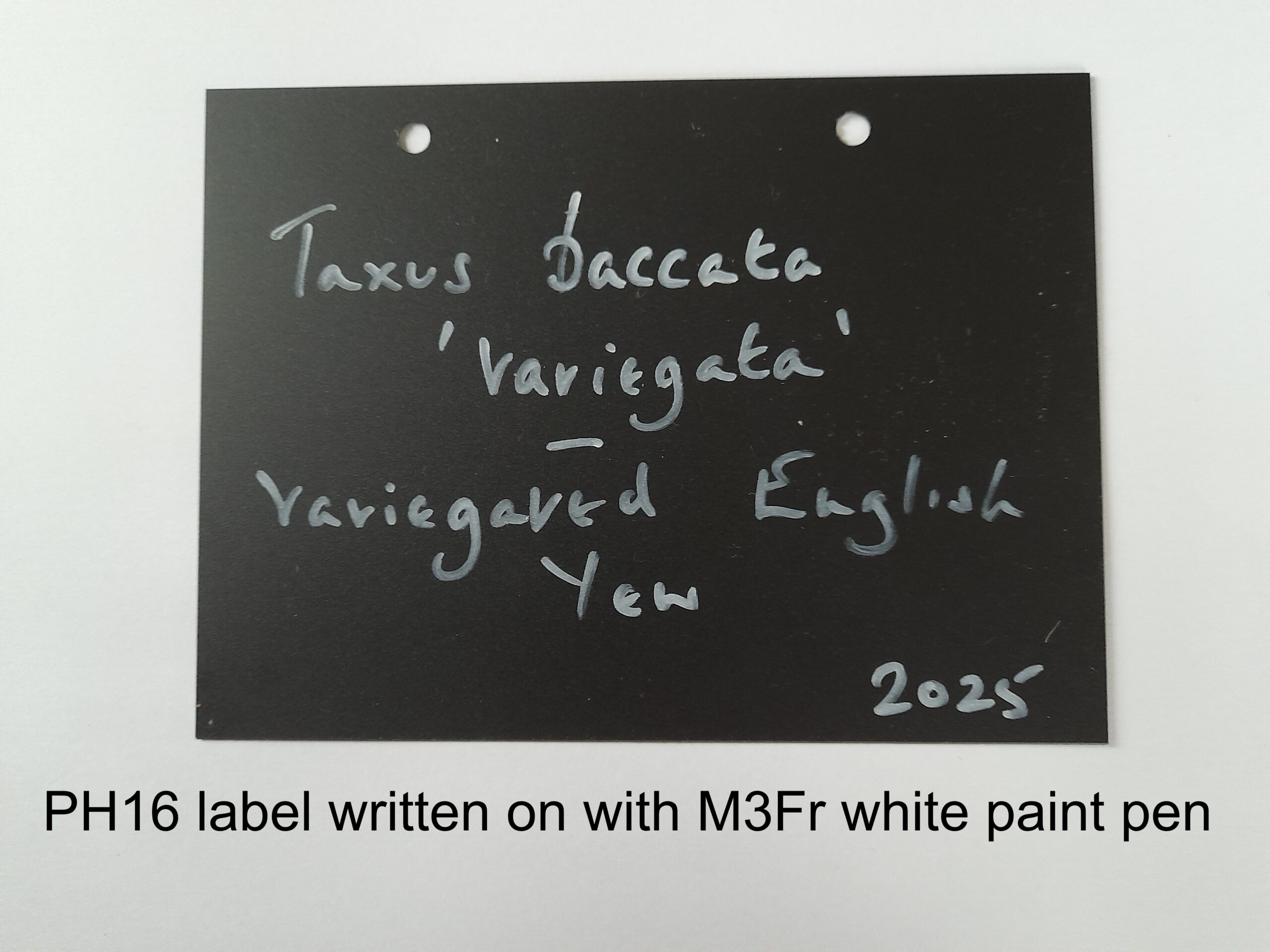 White Paint Fibre Tip Pen for Plant Labels - Image 6