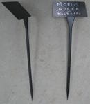 Angle Faced Bed Very Large - 48cm Plant Labels