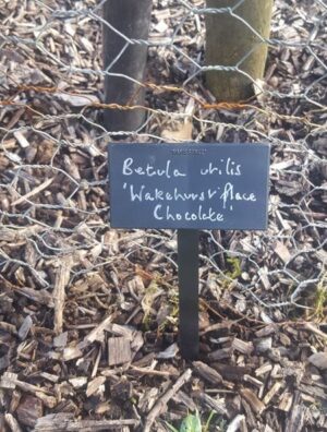 Slate Plant Labels