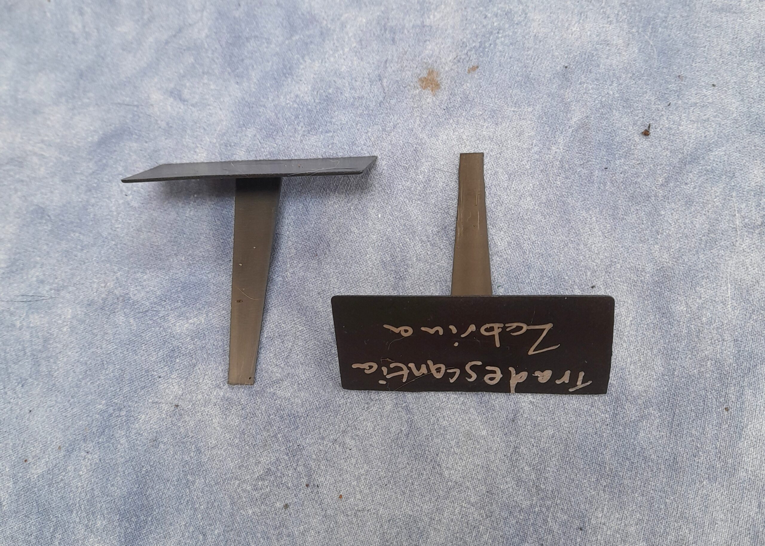Angled Face Plastic Plant Labels for Low Growers or Seeds - Image 4