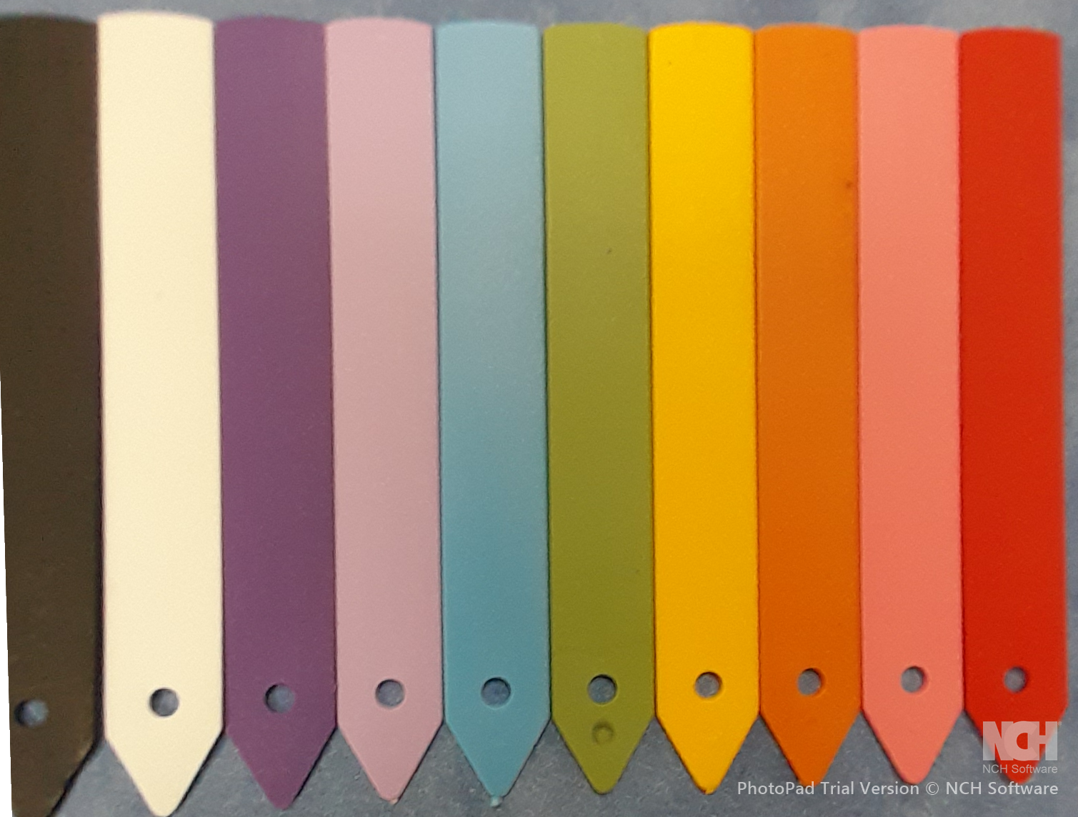 Plastic Plant Labels - 10cm