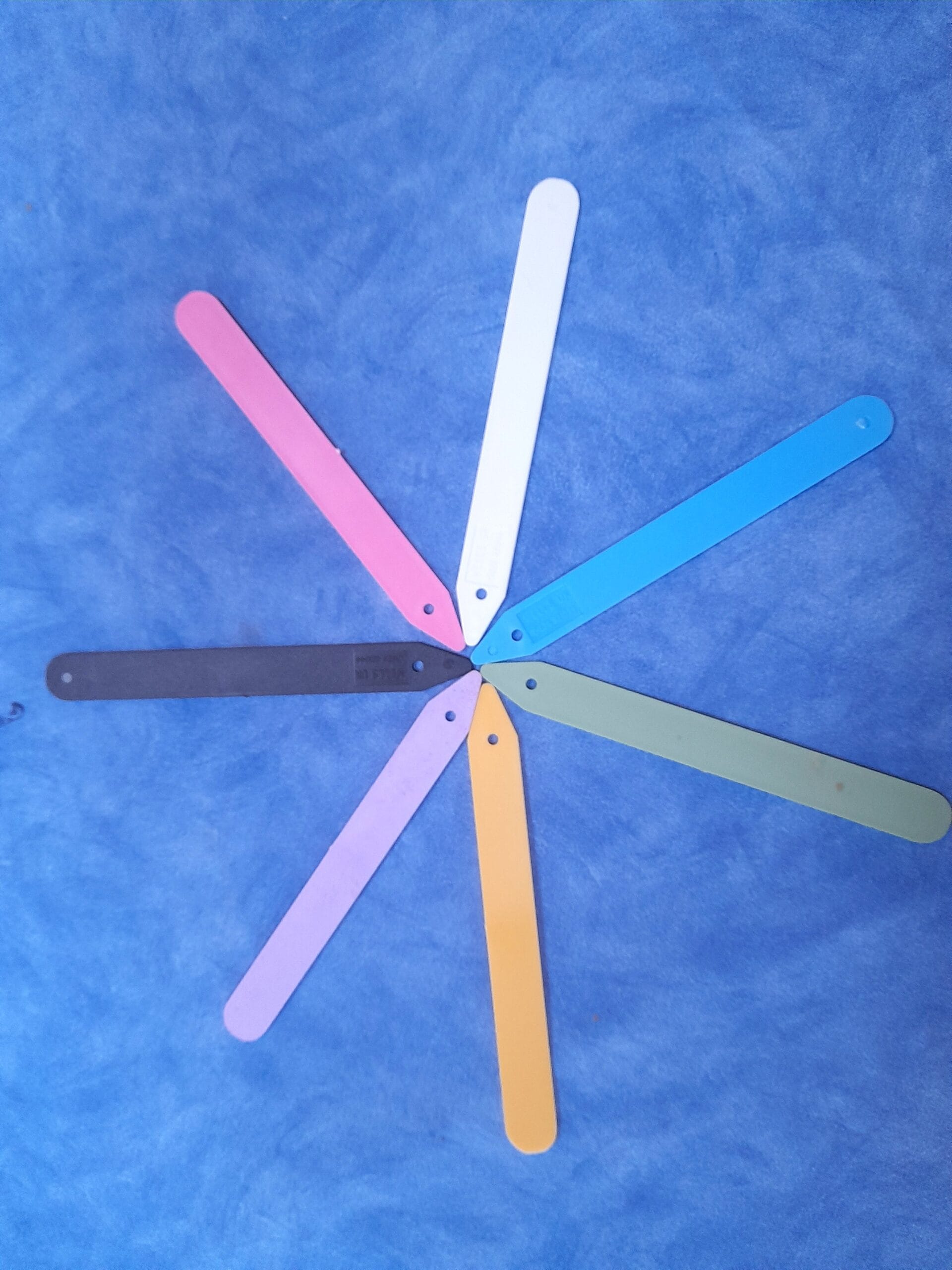 Push In Medium Plastic Plant Labels - 15 cm - Image 3