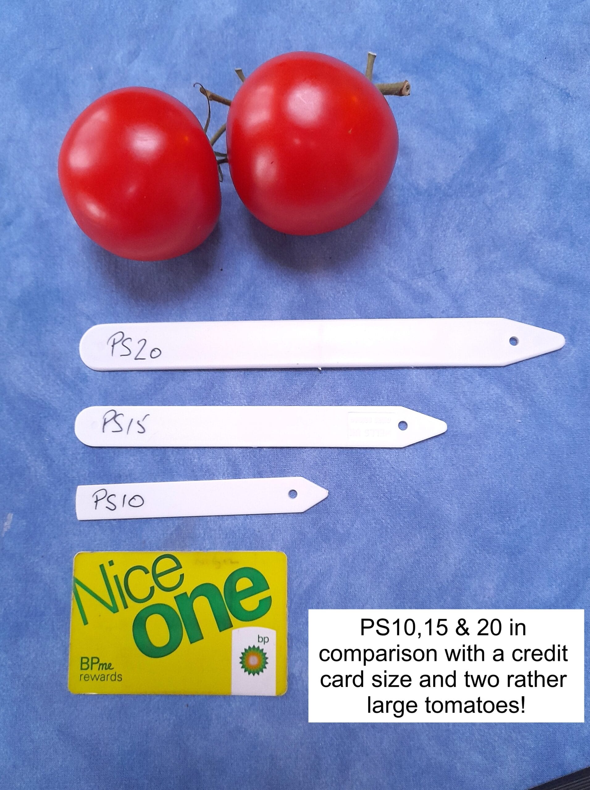 Push In Medium Plastic Plant Labels - 15 cm - Image 4