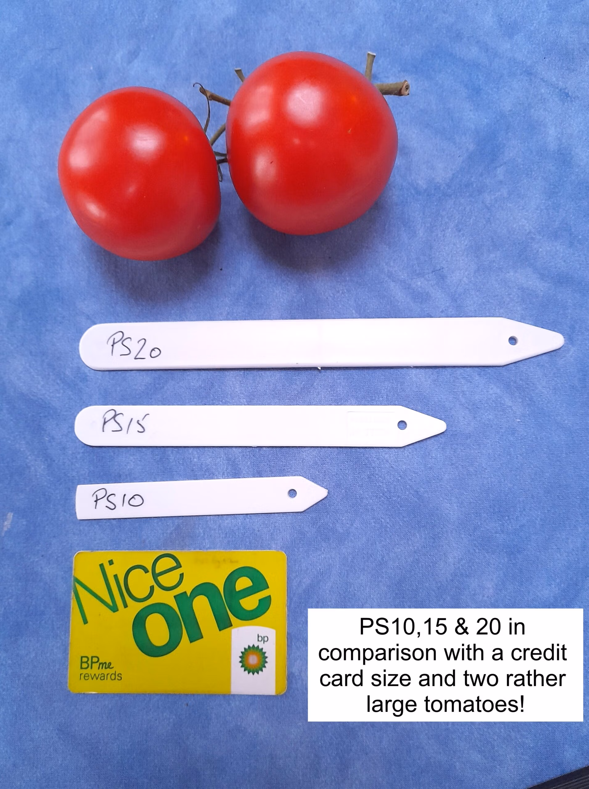 Push In Large - 20cm Plastic Plant Labels - Image 3