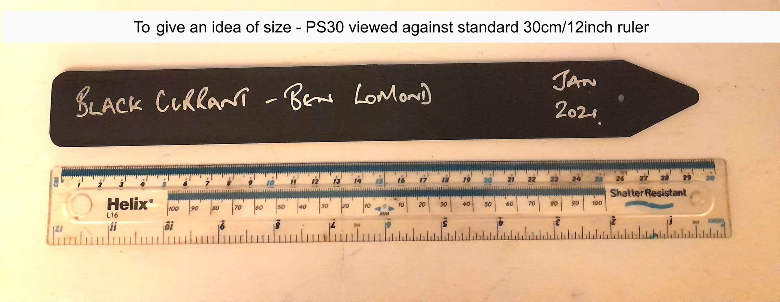 Push In Very Large Plastic Plant Labels - 30cm - Image 4