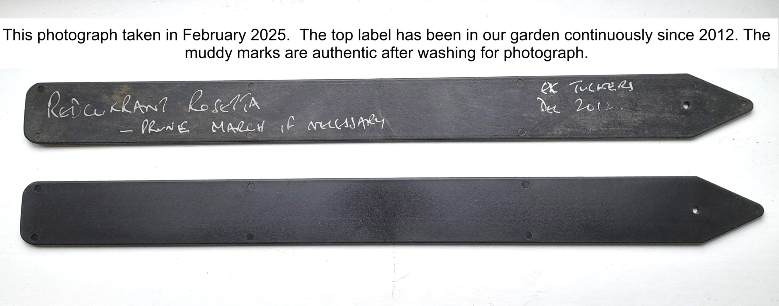 Push In Extra Large Plastic Plant Labels - 40cm - Image 3