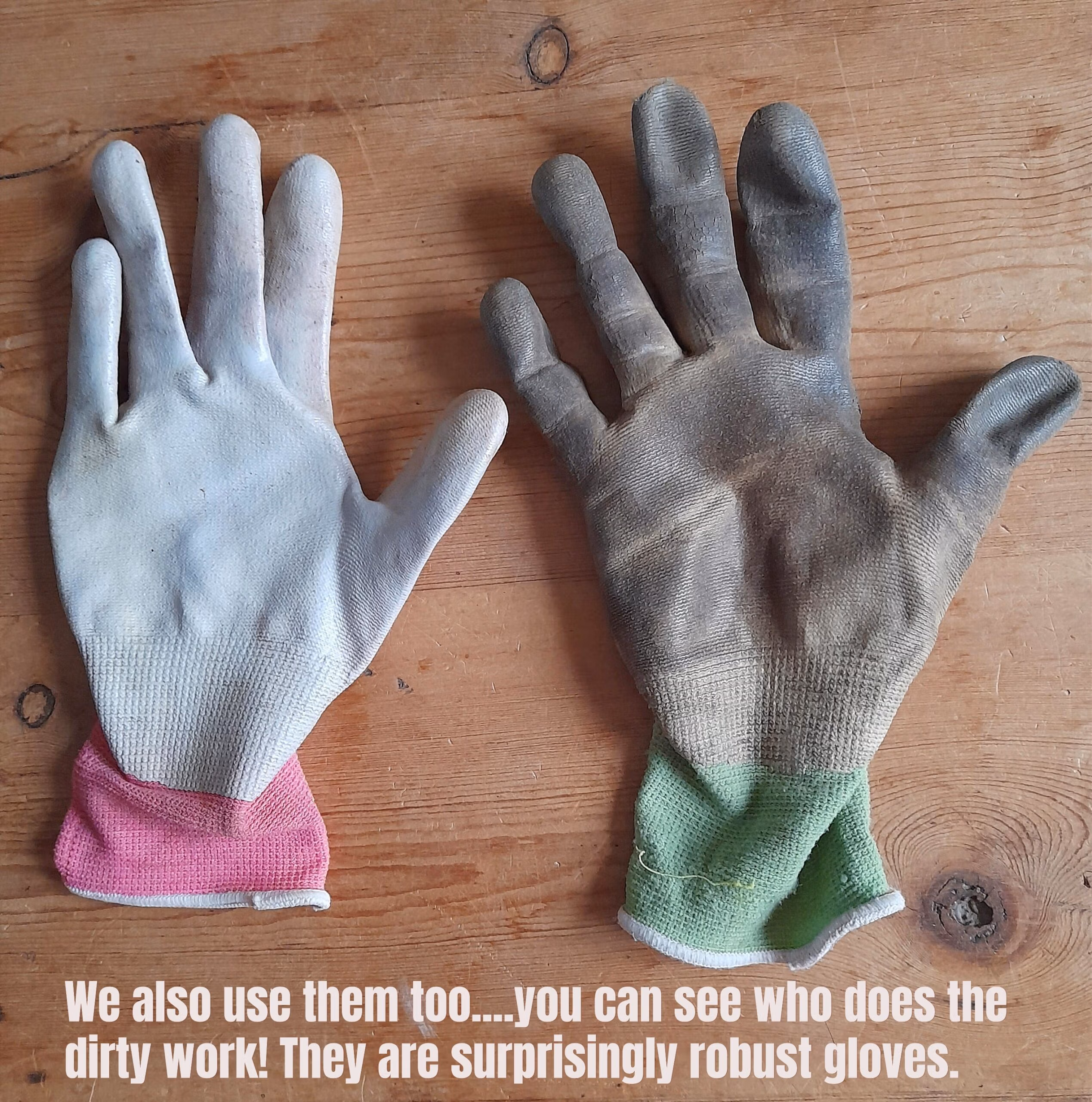 Showa Floreo 370 Gardening Gloves - Image 2