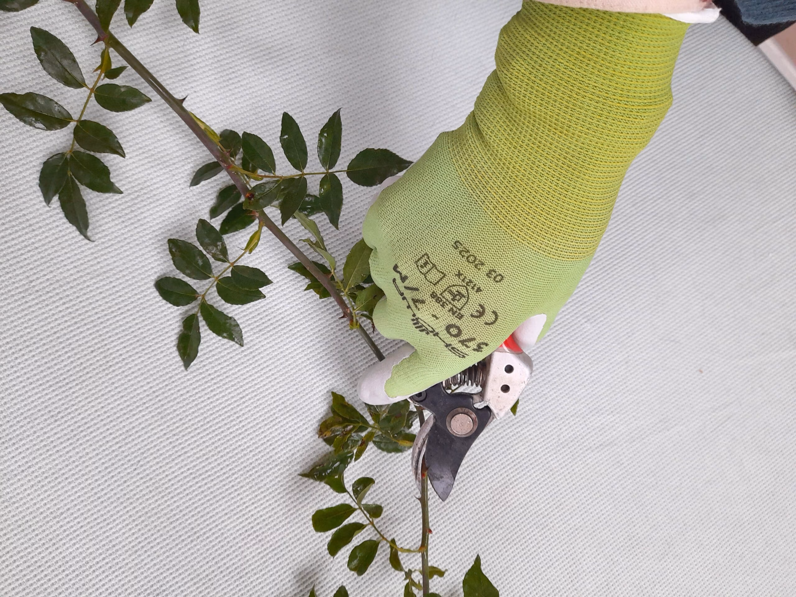 Showa Floreo 370 Gardening Gloves - Image 5