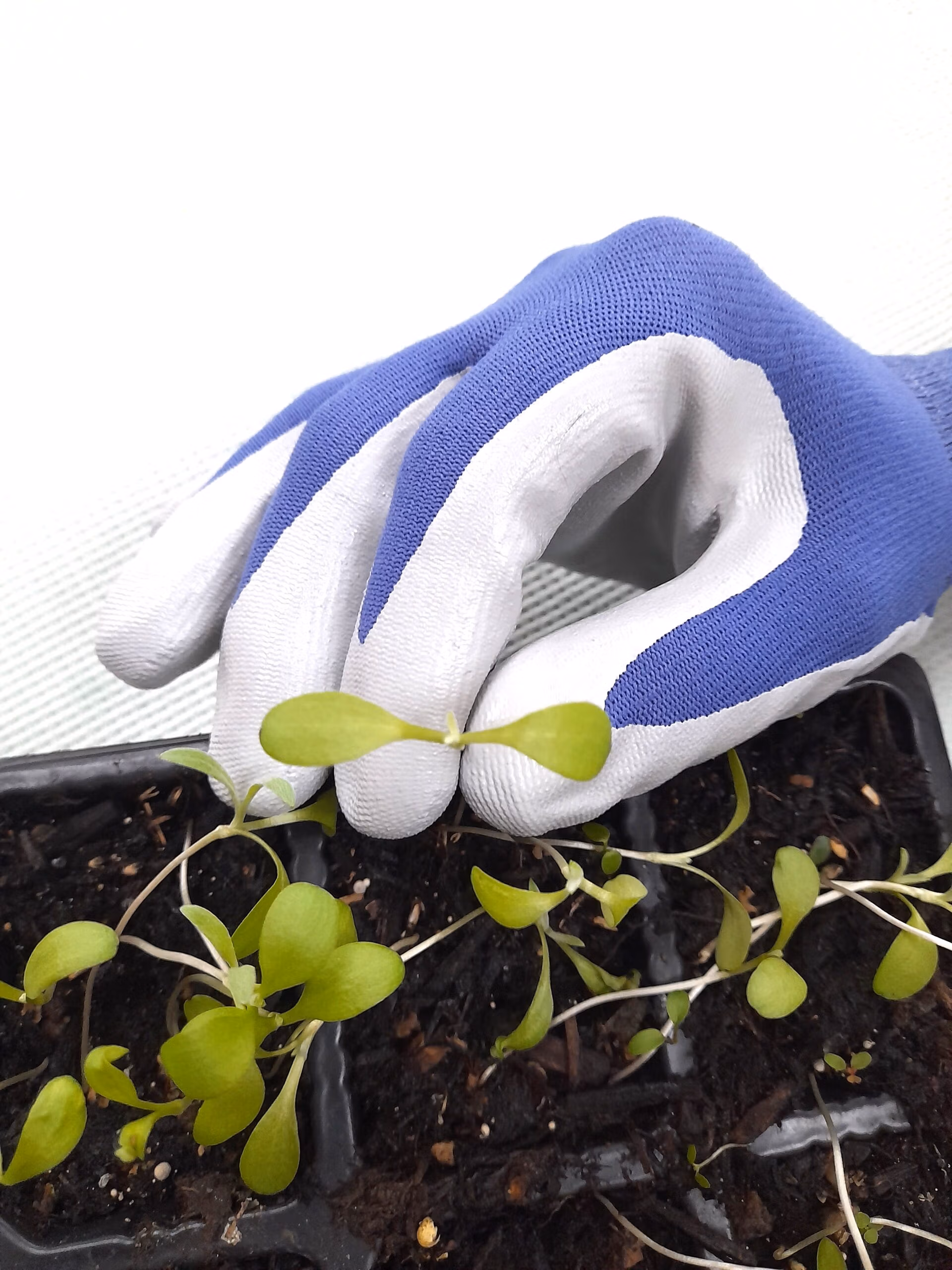 Showa Floreo 370 Gardening Gloves - Image 6