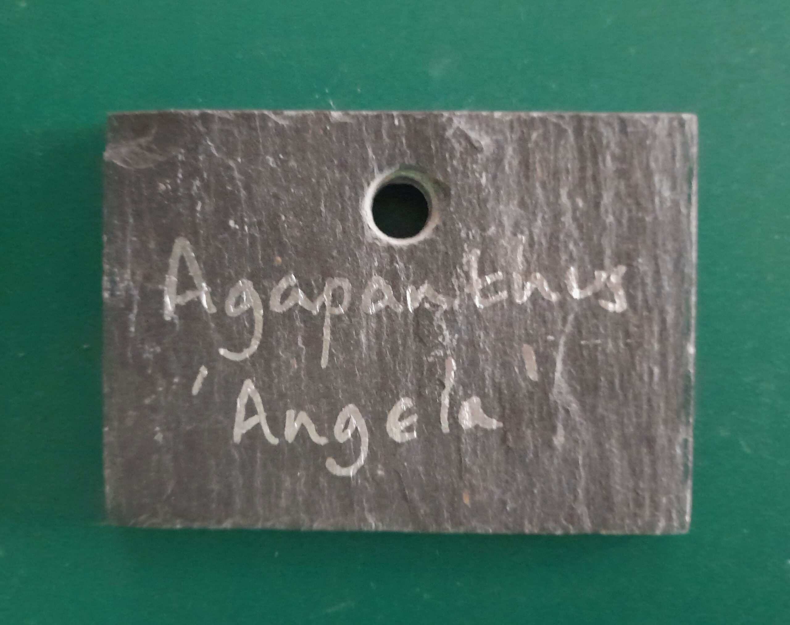 Hang On or Tie On Slate Plant Label - Small - Image 3