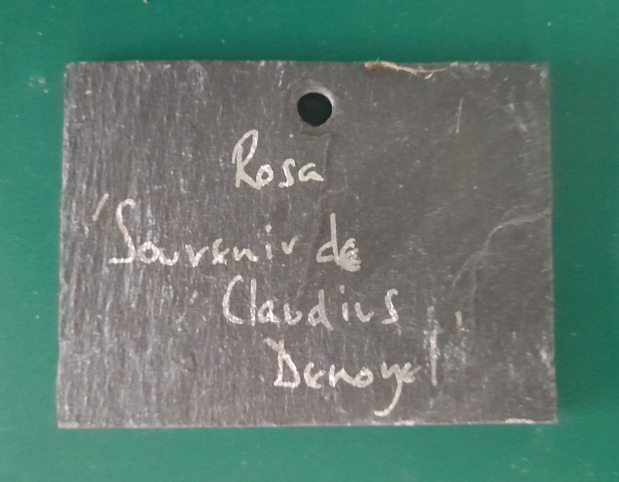Hang On or Tie On Slate Plant Label - Medium - Image 3