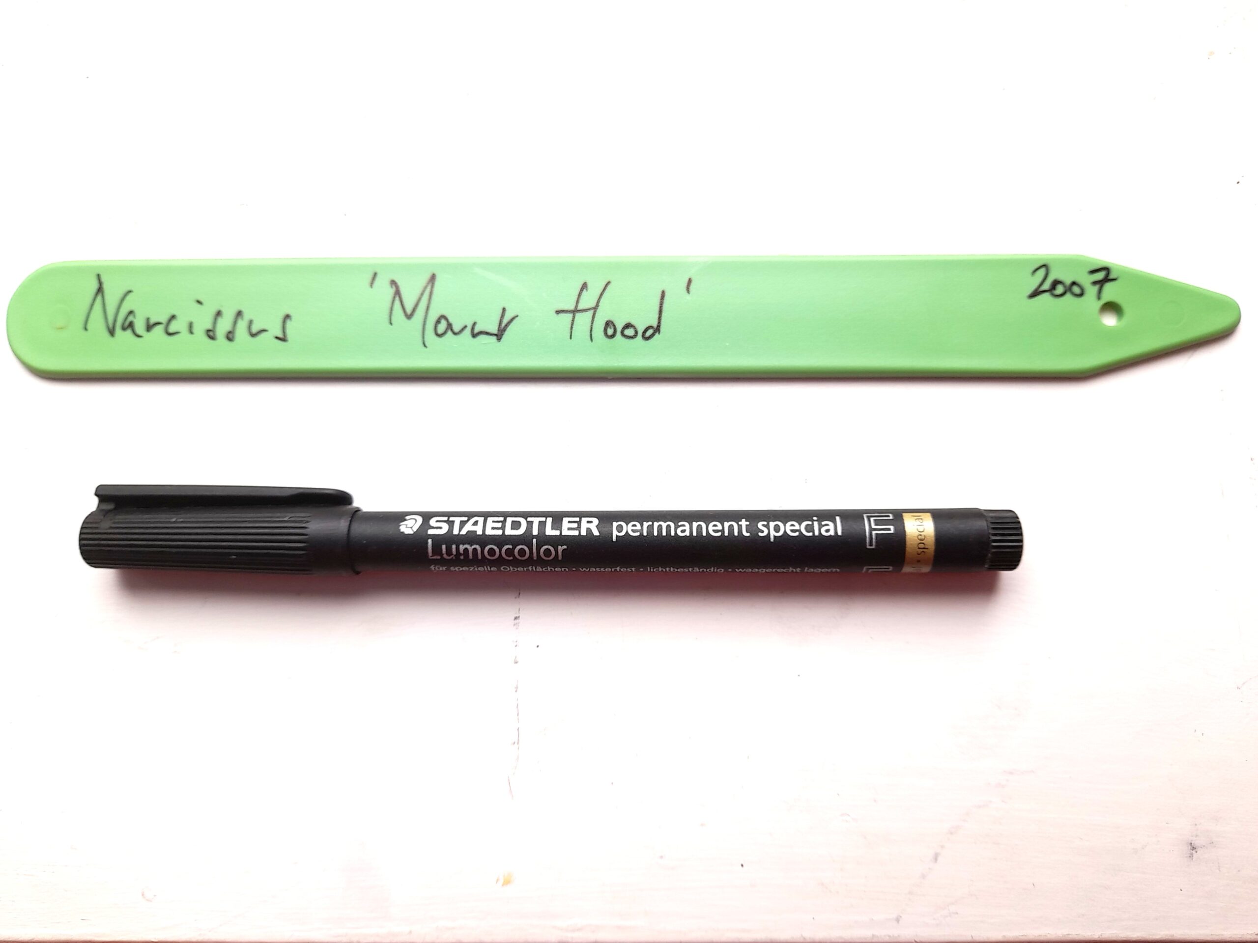 Starter set of Green Plastic Plant Labels + Black Pen - Image 3