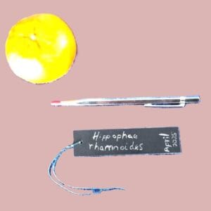 Tungsten Carbide Tipped Pocket Scriber