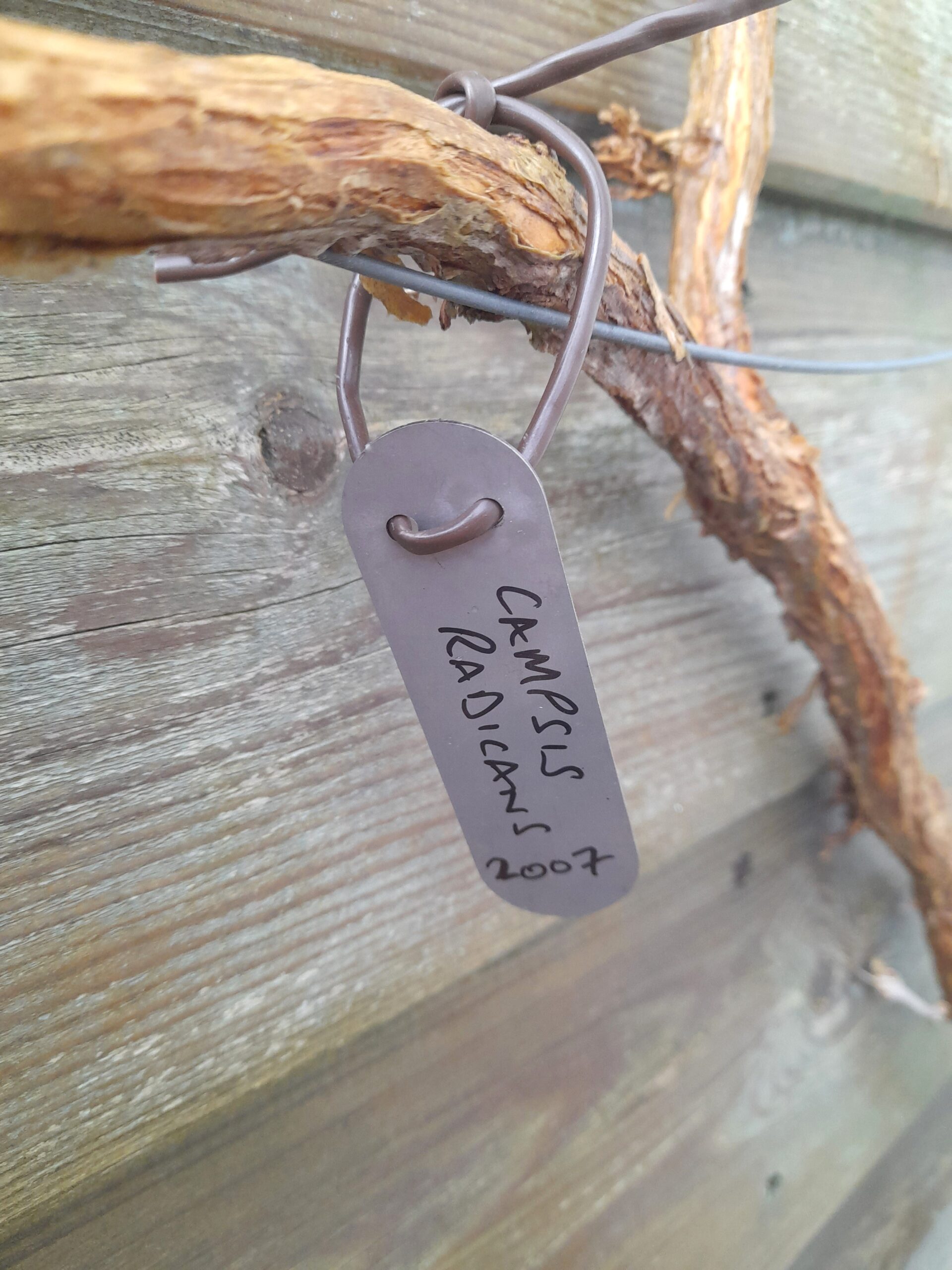 Hang On Stainless Steel Narrow - Image 3