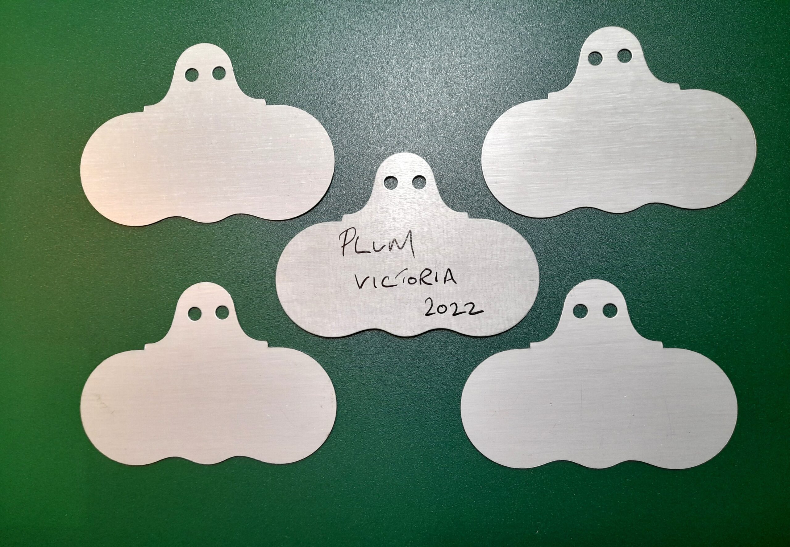 Hang On Zinc Wide Face Plant Labels - Wartnaby Gardens Range - Image 2