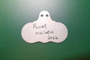 Hang On Zinc Wide Face Plant Labels - Wartnaby Gardens Range
