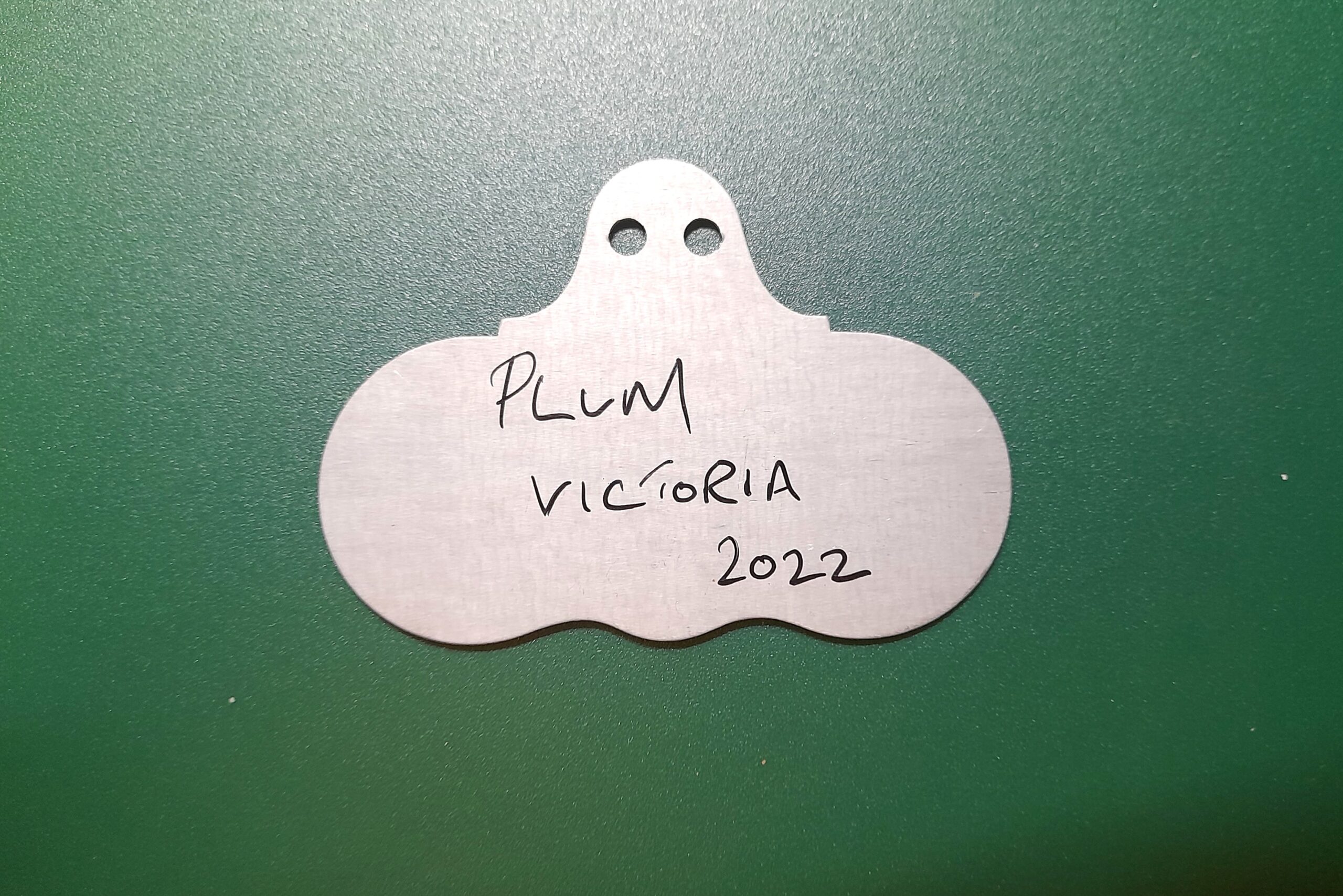 Hang On Zinc Wide Face Plant Labels - Wartnaby Gardens Range