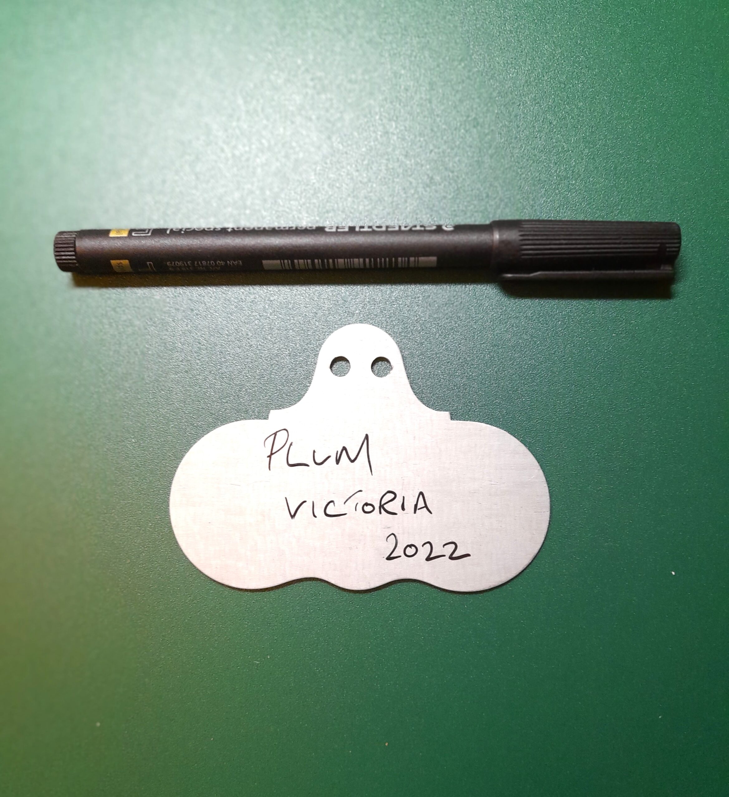 Hang On Zinc Wide Face Plant Labels - Wartnaby Gardens Range - Image 4