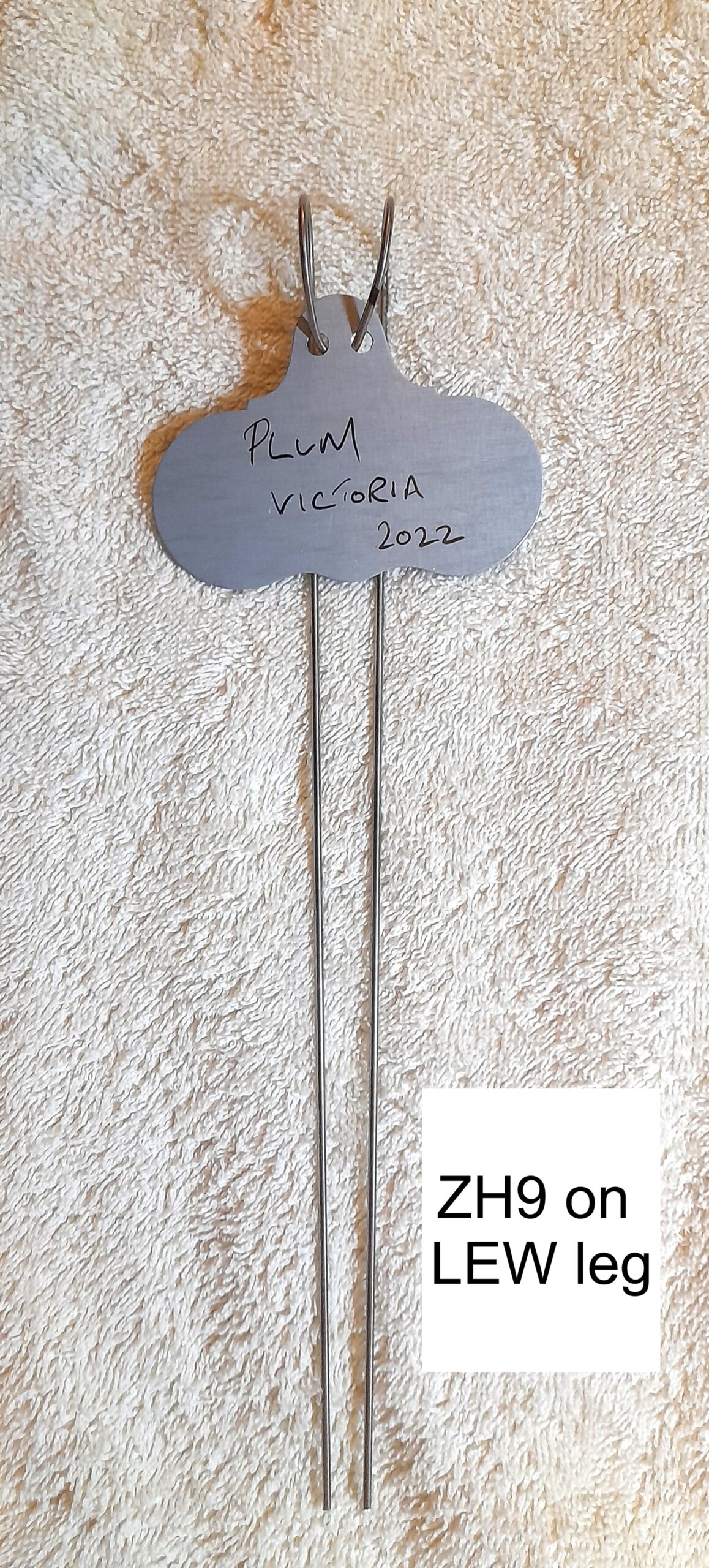 Hang On Zinc Wide Face Plant Labels - Wartnaby Gardens Range - Image 7