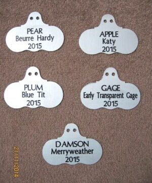 Zinc Plant Labels